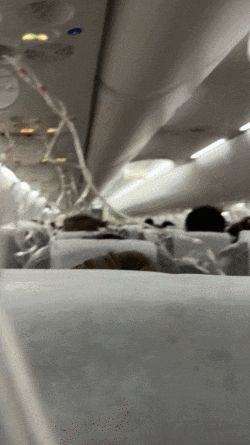 Image from 采集站点