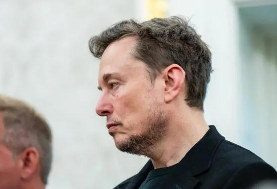 △美国企业家埃隆·马斯克（资料图）