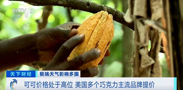 Image from 采集站点