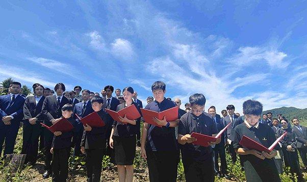 Image from 采集站点