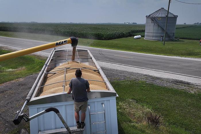 Image from 采集站点